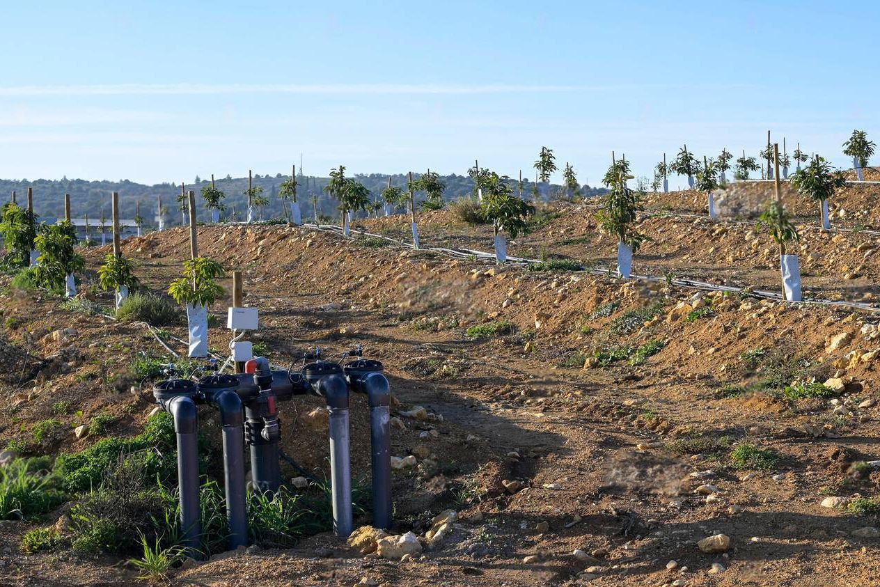 info-1264-843 info-1264-843