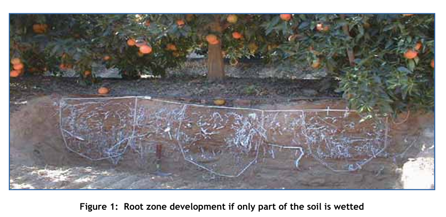 info-914-445 info-914-445