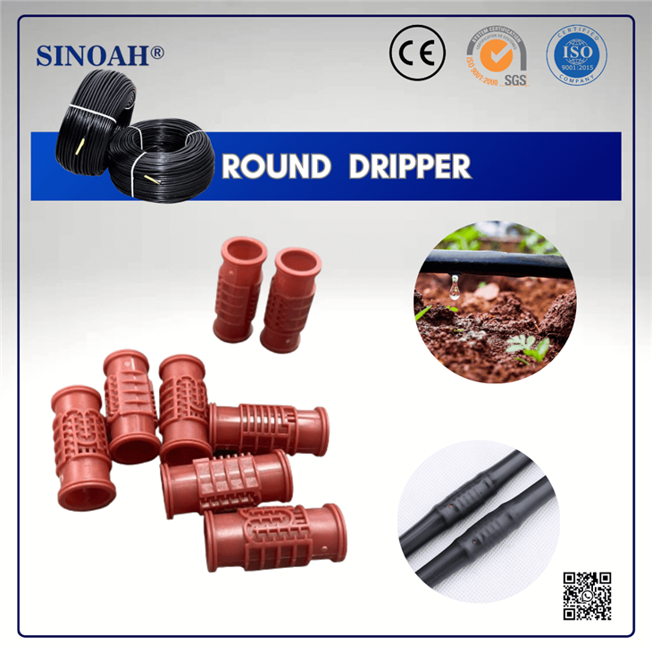 Picurator rotund interior